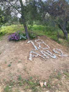 ανω των 18 αλκοολικων εκπαιδευτική επισκεψη